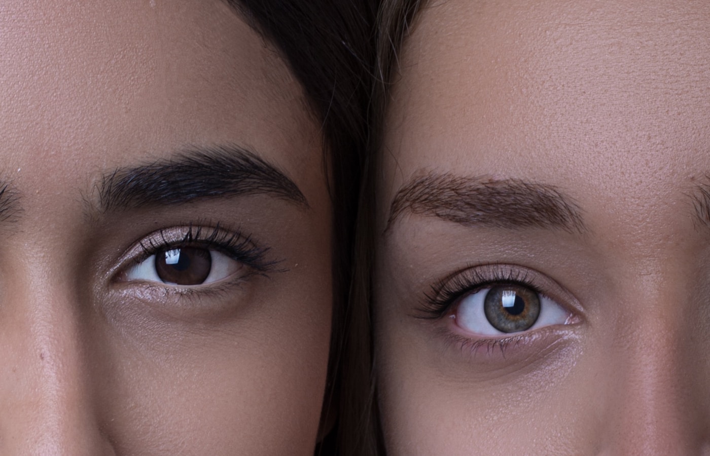 Brow studio website template preview