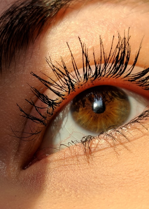 Lumiere lash portfolio 2