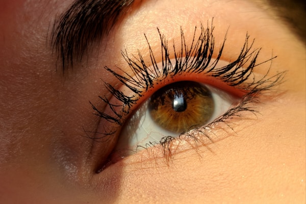Classic Lashes