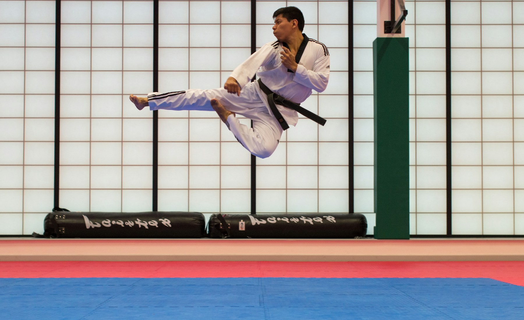 Martial arts website template preview